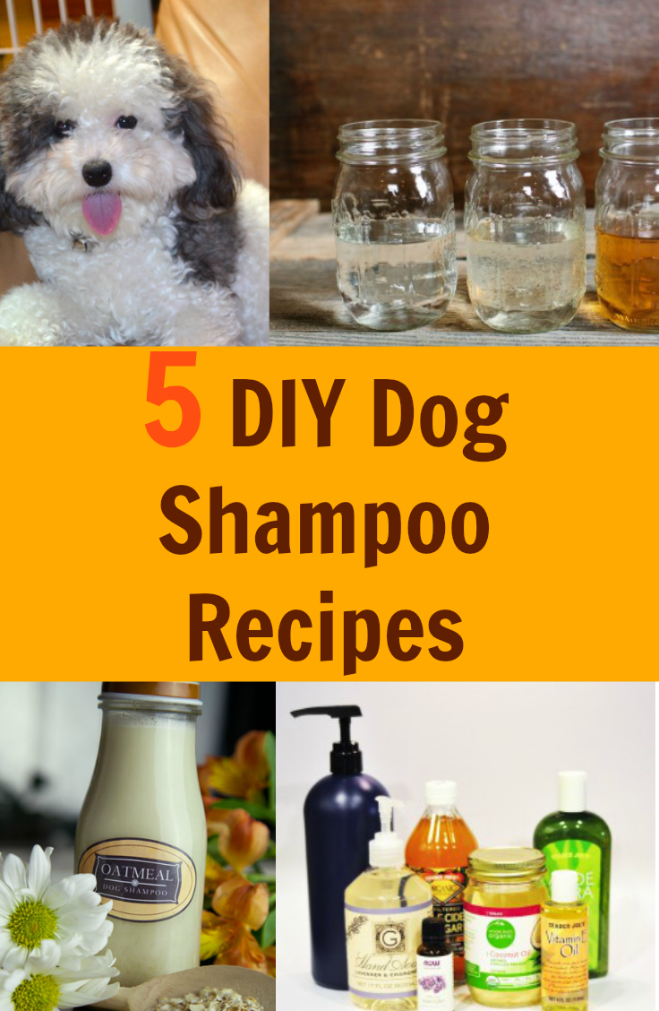 How to Make Homemade Natural Dog Shampoo