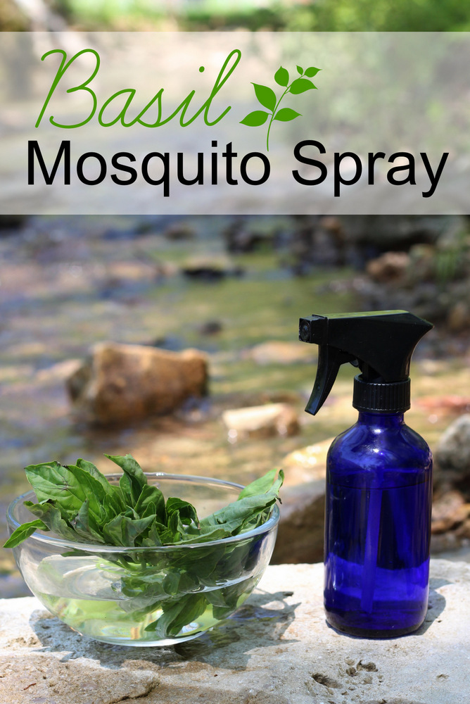 basil-mosquito-spray.jpg