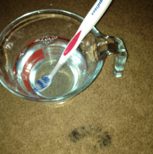 DIY carpet stain remover step 1