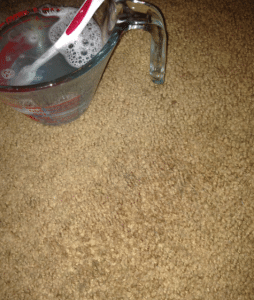Homemade carpet stain remover success!