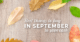 Deals in September
