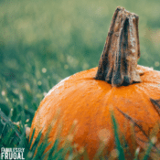 What to buy in October