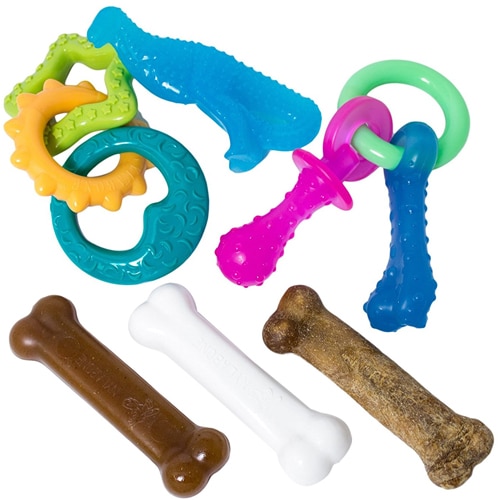 Today Only! Amazon Nylabone Puppy Starter Packs Puppy Chew Toys 9.99