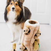 Outward Hound Hide-A-Squirrel Squeaky Puzzle Plush Toys for Dogs $5.10...