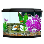 Pet Smart: Aquarium $19.99 (Reg. $39.99)