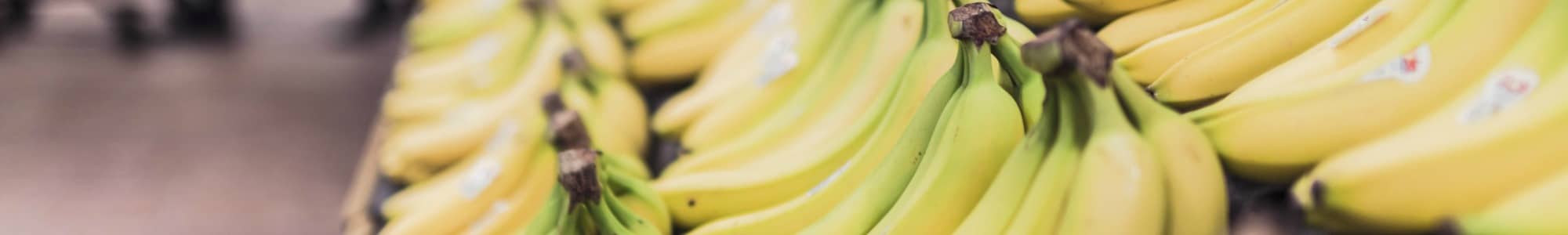 Banana banner image