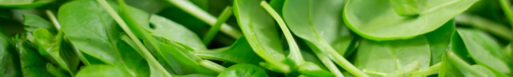 Spinach banner image