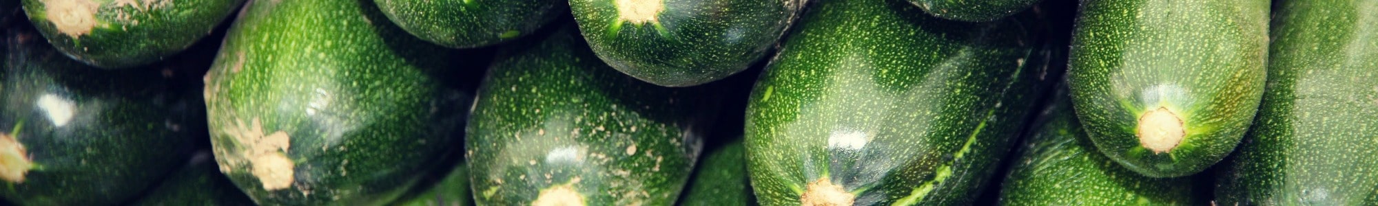 Zucchini banner image