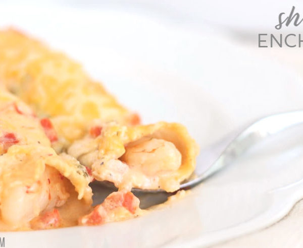 favorite shrimp enchiladas recipe with cheesy sauce