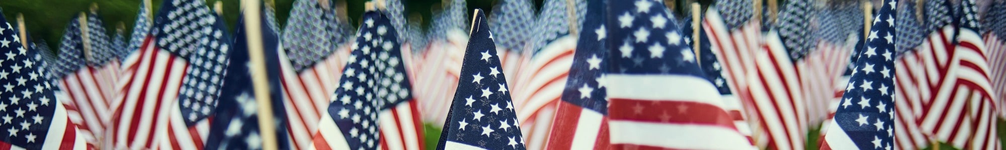 Memorial Day banner image