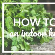 How to start an indoor herb garden