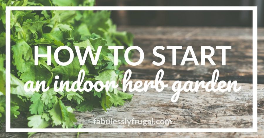 How to start an indoor herb garden