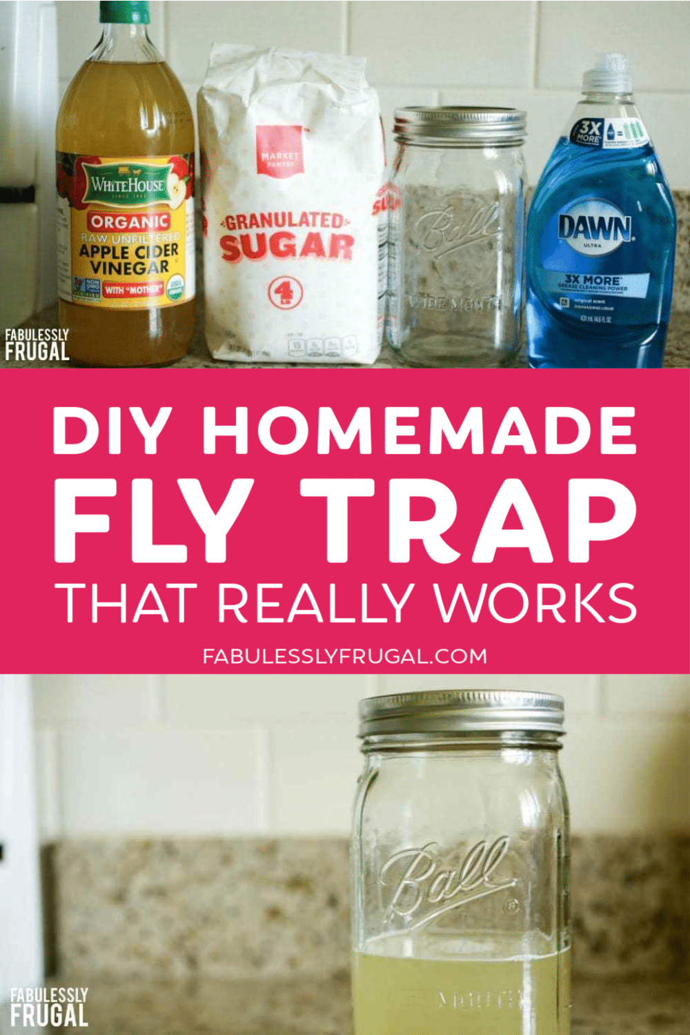 DIY fly trap homemade recipe with vinegar and sugar that really works — save this pin