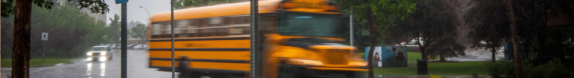 Back-to-School banner image