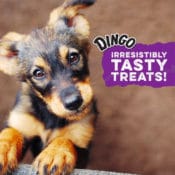 Amazon: Dingo Goof Balls Dog Treats 15-Count Bag as low as $3.14 (Reg....