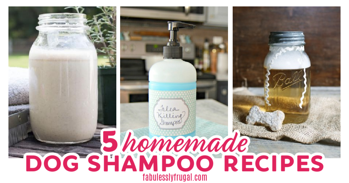 5 All Natural DIY Dog Shampoo Recipes Love - Frugal
