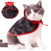 Amazon: Halloween Cat Costume $2.98 After Code (Reg. $7.98)