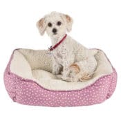 Petco: Harmony Pink Dot Nester Dog Bed $7 (Reg. $19.99)
