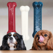 3-Count Nylabone Power Chew Textured Dog Chews as low as $8.95 Shipped...