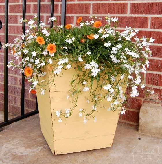 how to add curb appeal budget plant flower boxes containers