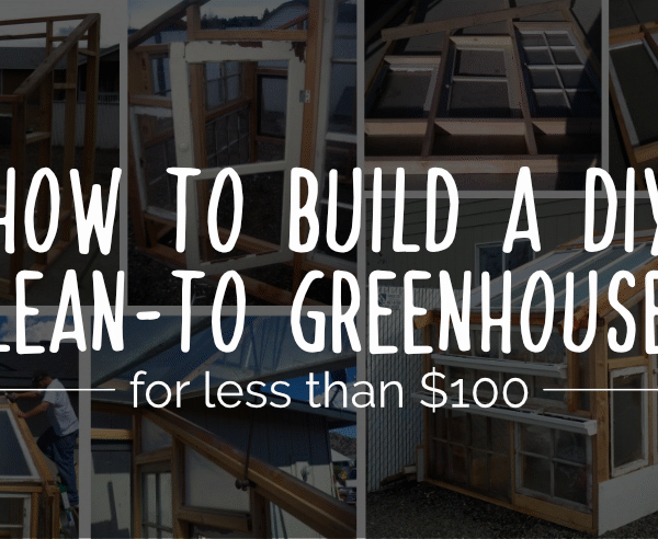 How to build a lean to greenhouse for less than $100