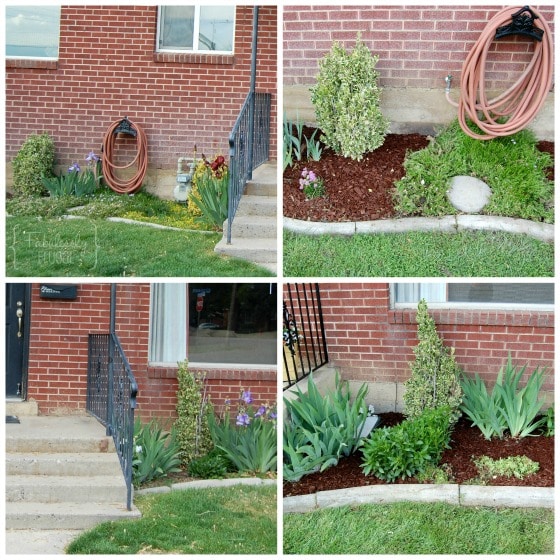 resized flower beds before and after mulch add curb appeal