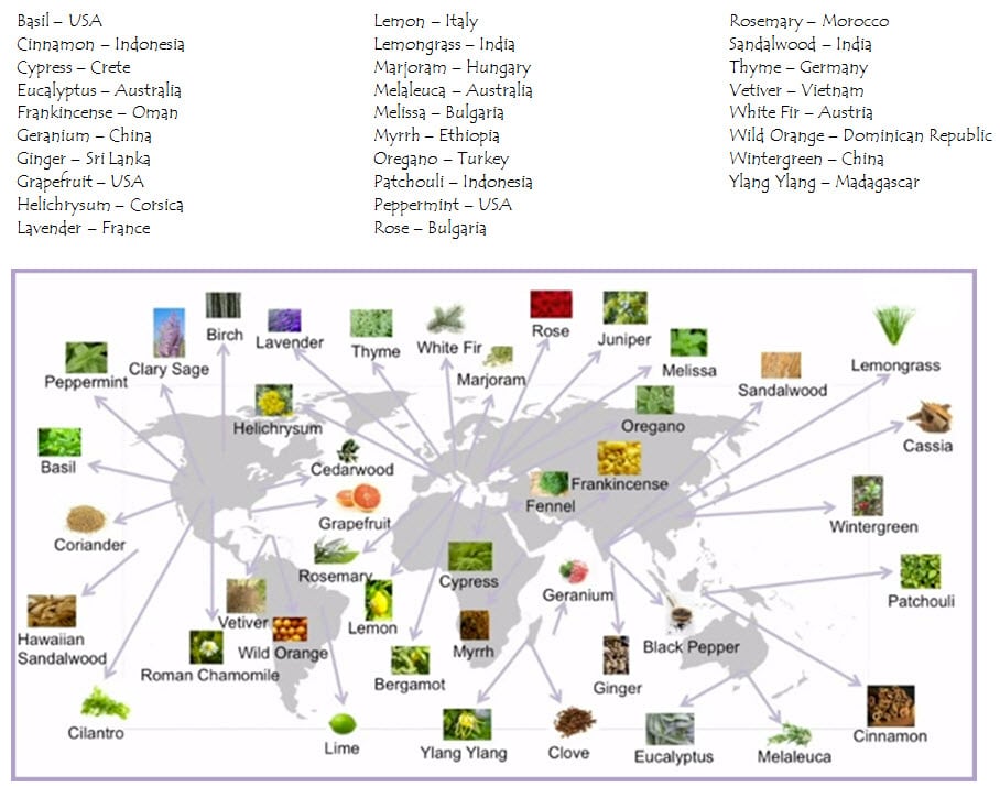 Map of essential oils