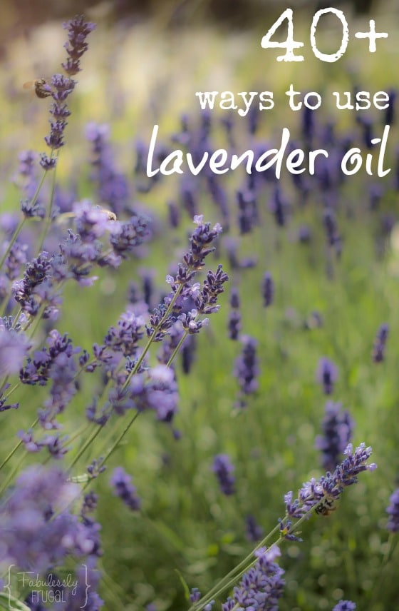Lavender essential oil is powerful! Here's 40+ uses of Lavender Essential Oil! I use it for burns all the time - works way better than cold water.