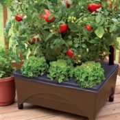Lowe's: Raised Garden Bed $19.98 (Reg. $29.98) - Perfect for Patio or Deck
