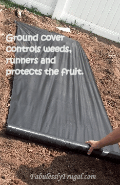 Covering ground with landscapers fabric