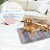 Amazon: Dog Bed Crate Mat Pad $12.15 After Code (Reg. $22.99)