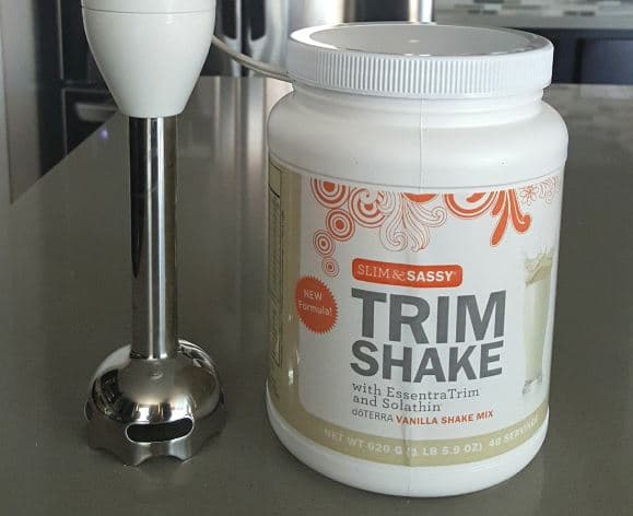 Hand blender protein shake