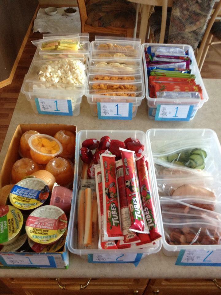 Food storage bins for school
