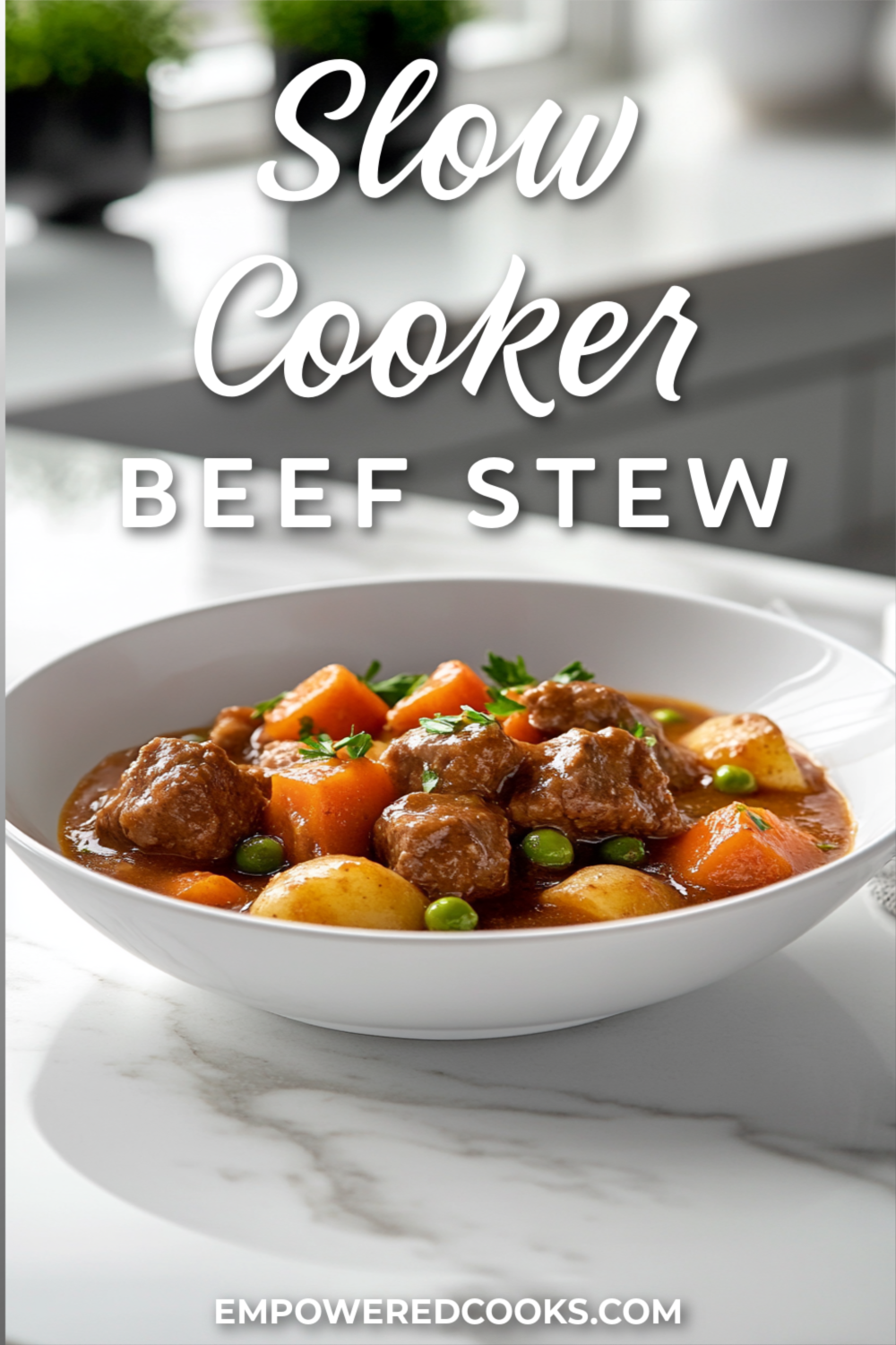 Slow Cooker Beef Stew