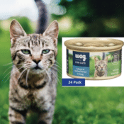 Amazon: 24 Pack Wag Wet Cat Food as low as $12.57 (Reg. $19.99) + Free...
