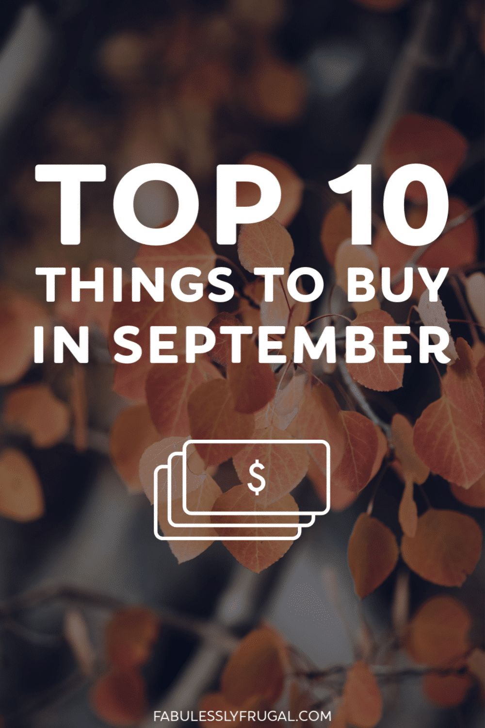 What to buy in September
