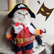 Amazon: Pirate Costume for Dogs or Cats $9.99 to $10.99 (Reg. $16) - S-XL...