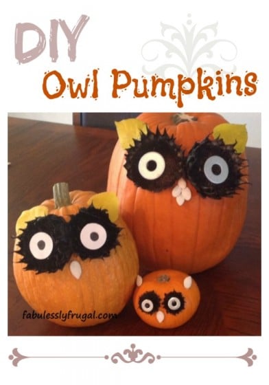 Owl Pumpkins DIY