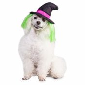Petco: Buy One, Get One 50% Off Dog Halloween Costumes