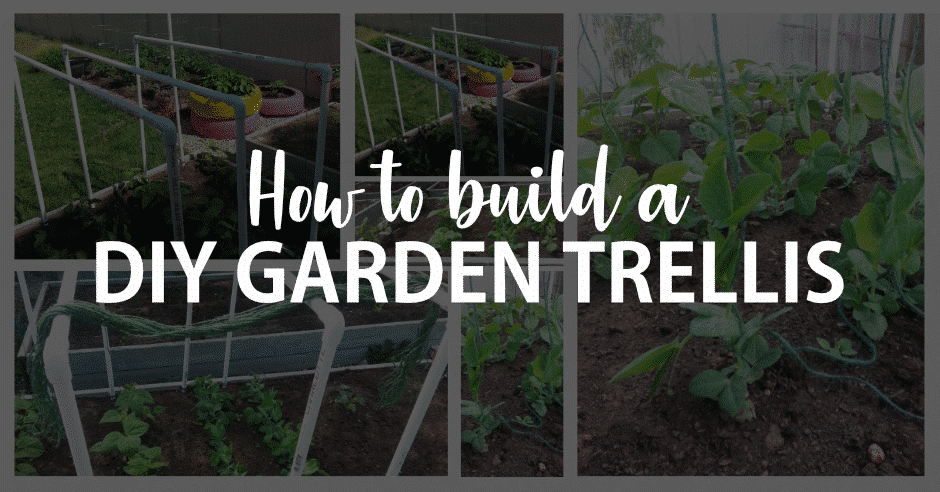 How to make a DIY garden trellis with PVC