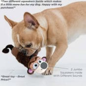 Amazon: No Stuffing Plush LiL Squeak Monkey Dog Toy for Small Dogs $2.06...