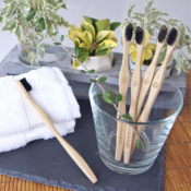 Amazon: Himalayan Blue 4-Pack Bamboo Biodegradable Charcoal Toothbrush...