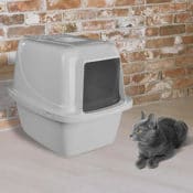 Amazon: Odor Control Cat Pan $9.89 (Reg. $19.99)