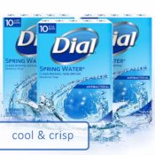 Amazon Cyber Week: Dial Antibacterial Bar Soap, Spring Water, 30 Count...
