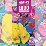 Amazon Holiday Deal: World's Smallest 1000 Piece Jigsaw Puzzle, Flip Flops...