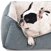 Amazon: Small Cuddler Pet Bed $22.14 (Reg. $35.61)