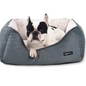 Amazon: Cuddler Pet Bed in Green Medium $28.03 (Reg. $41.31) + Free Shipping...