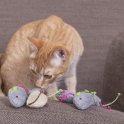 Amazon: 3 Pieces Catnip Toy Mice $1.97 (Reg. $3.99) - FAB Ratings! 8,680+...