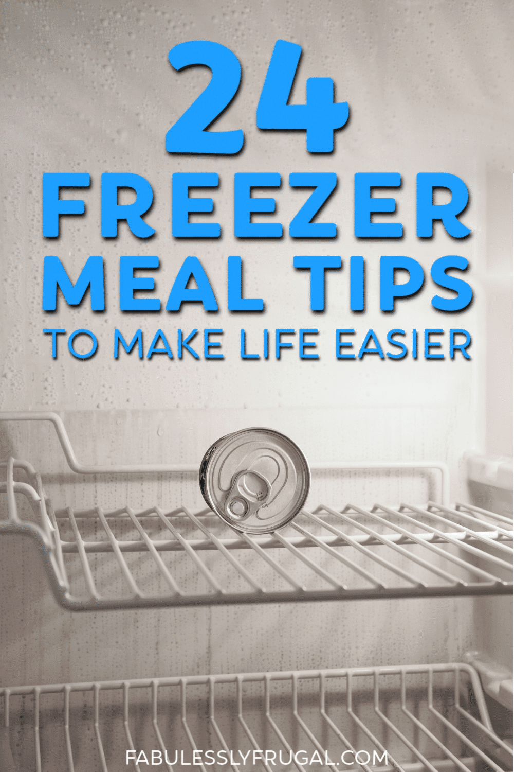 Freezer meal tips