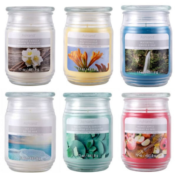 Michaels: 17 oz. Scented Jar Candles $2.66 After Code (Reg $5.99) + Free...